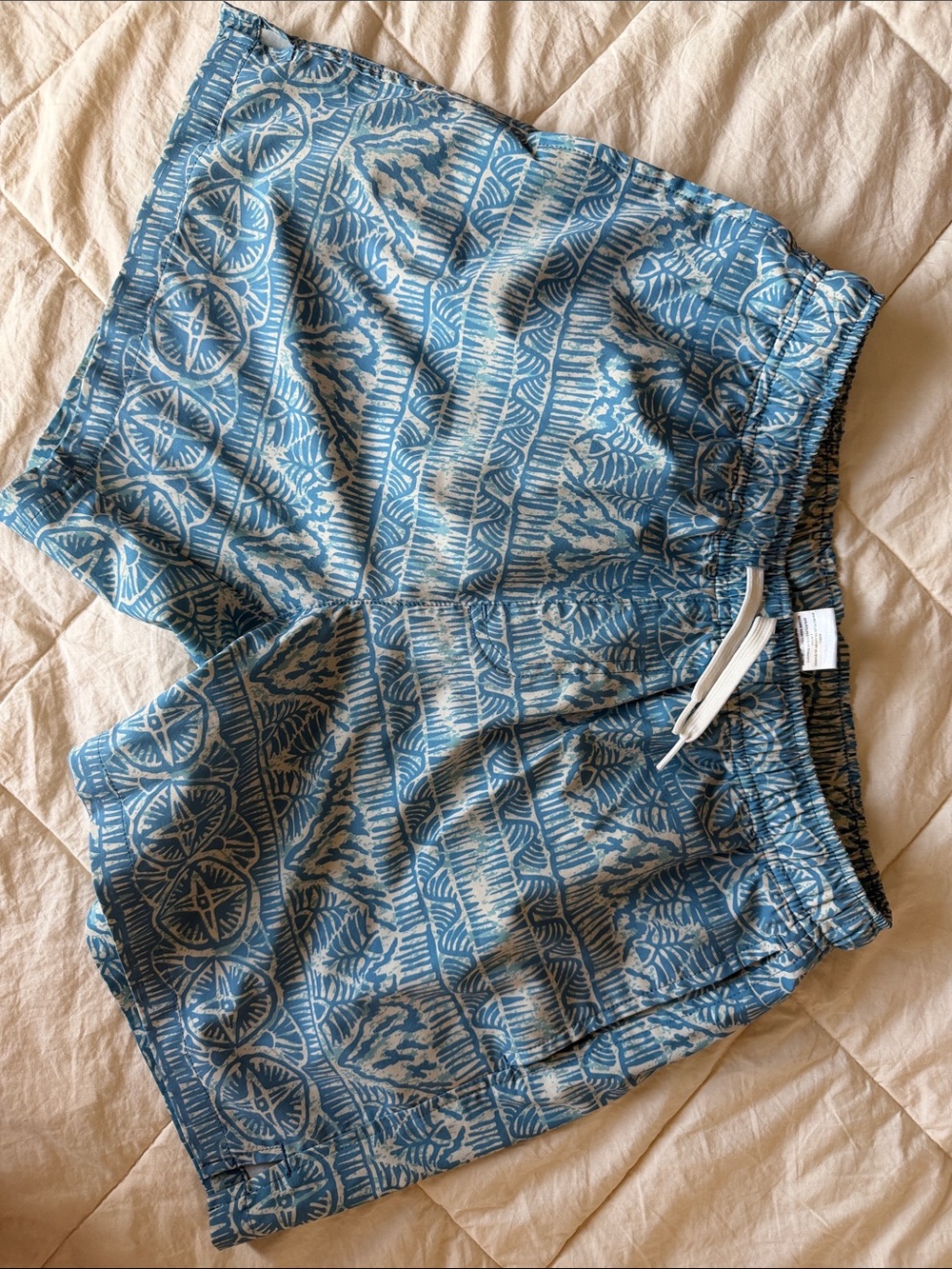 Bearbottom M-5.5” Swim Shorts